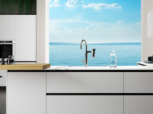 Miscelatore Vital Franke con filtro per depurare l'acqua